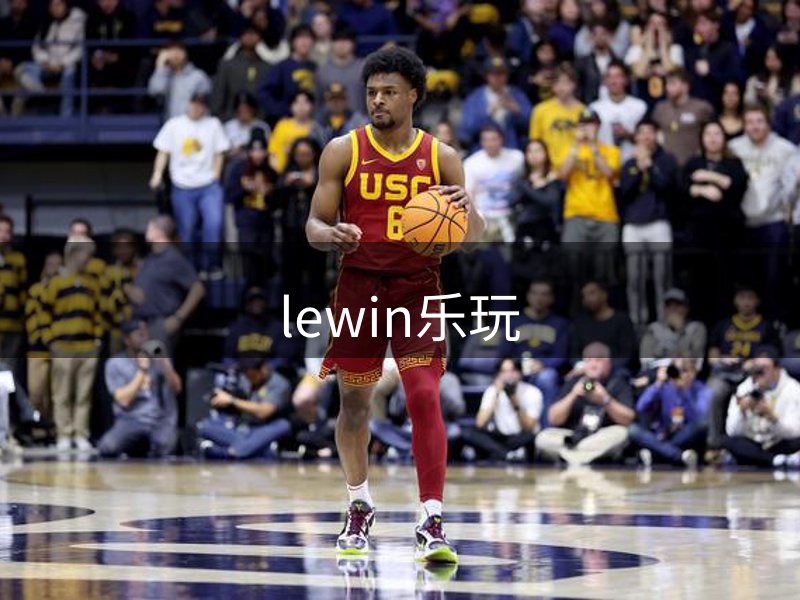 lewin乐玩简介